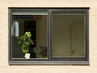 velfac ribo closeup1 1600x902 enhanced