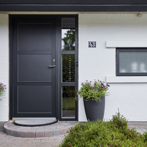 Entrance door with panels and sidelight with glazing bars