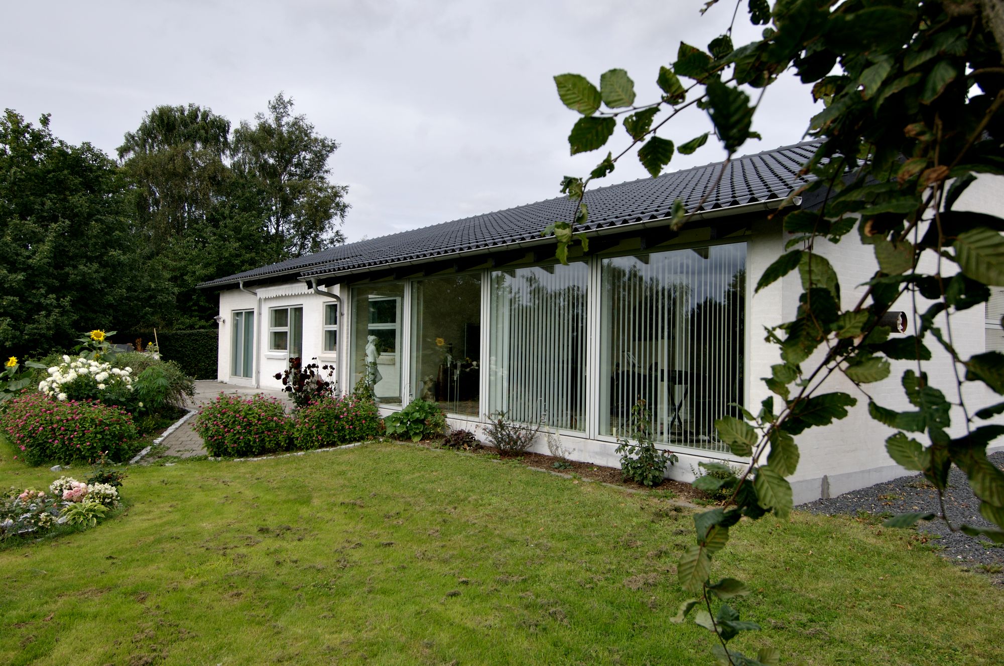 velfac renov  502 huge