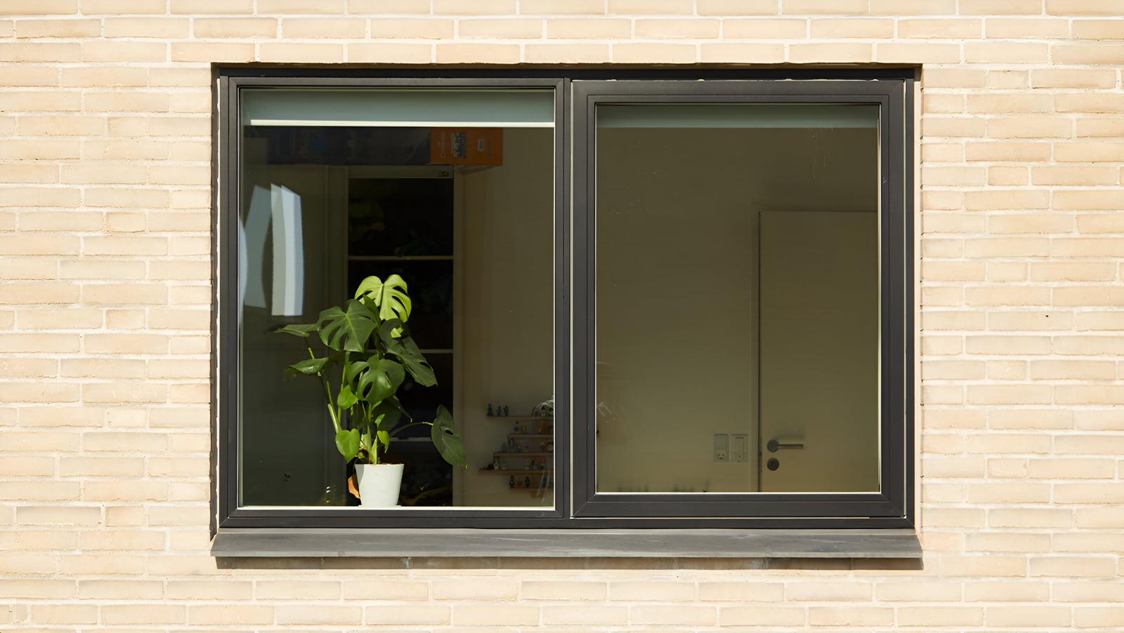 velfac ribo closeup1 1600x902 enhanced