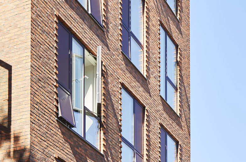  s5a2797 textimage 782x516