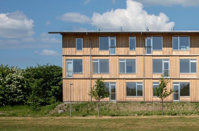 ribo combinations 782x516 v3