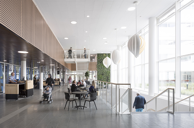 daylight textimage 782x516