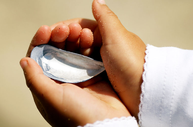 ringkbing 27of103 textimage 782x516